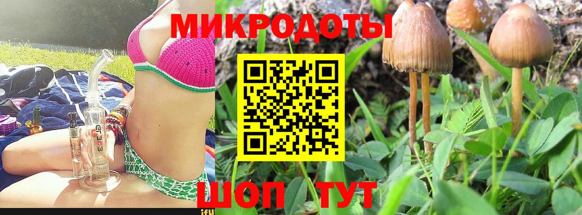 Галлюциногенные грибы Cubensis Камень-на-Оби